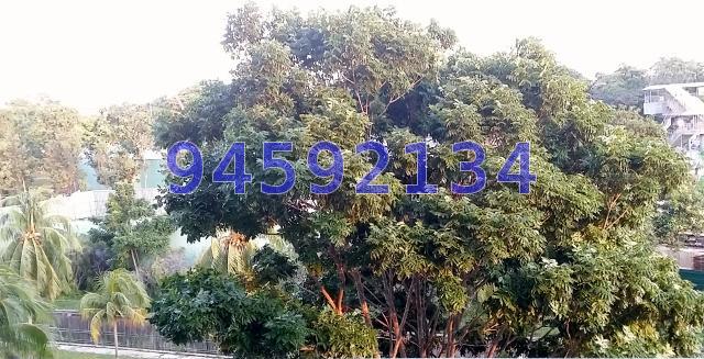 Blk 708 Bedok North Road (Bedok), HDB 4 Rooms #72454781